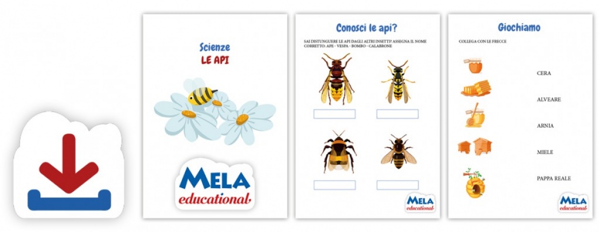 Le api - scienze - primaria